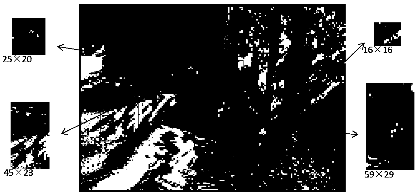 Non-standard template image matching method based on tree decomposition