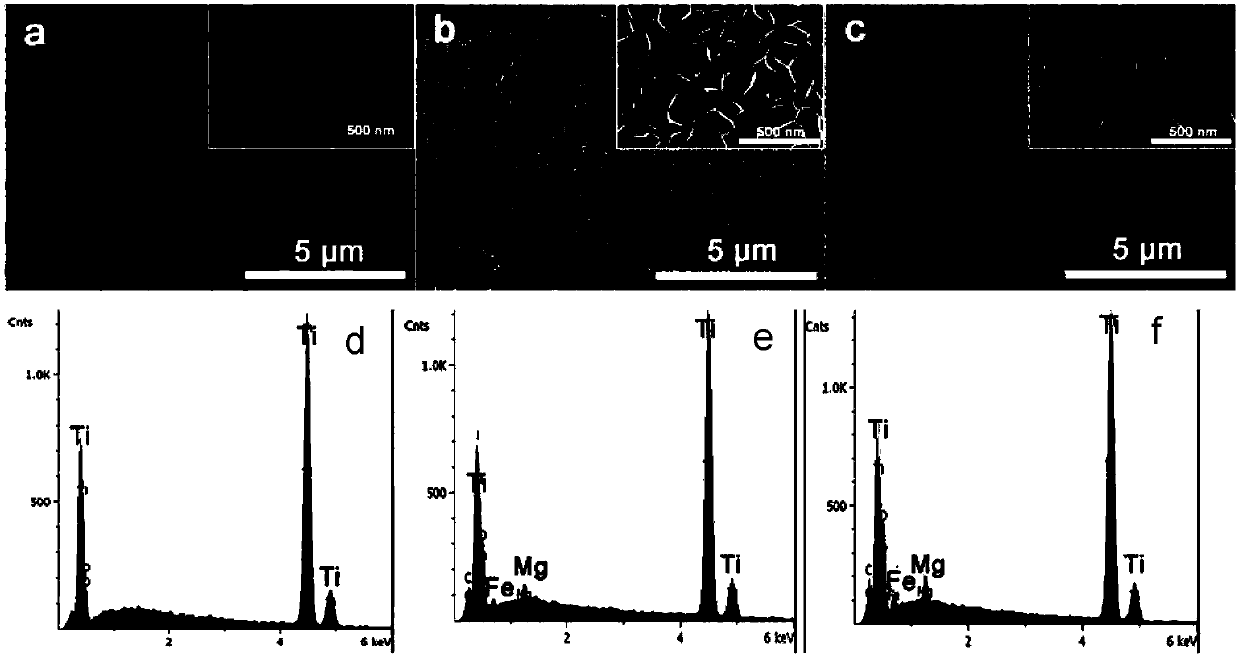 Titanium and alloy of titanium with bone promoting effect as well as preparation method and application of titanium and alloy of titanium