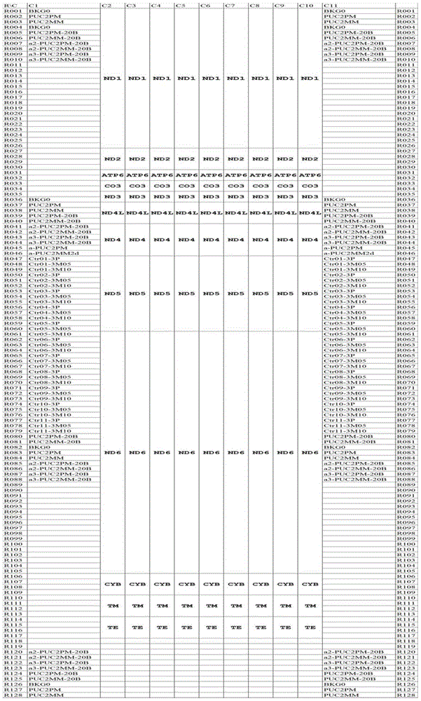 Hereditary optic neuropathy gene detection method, gene chip and kit