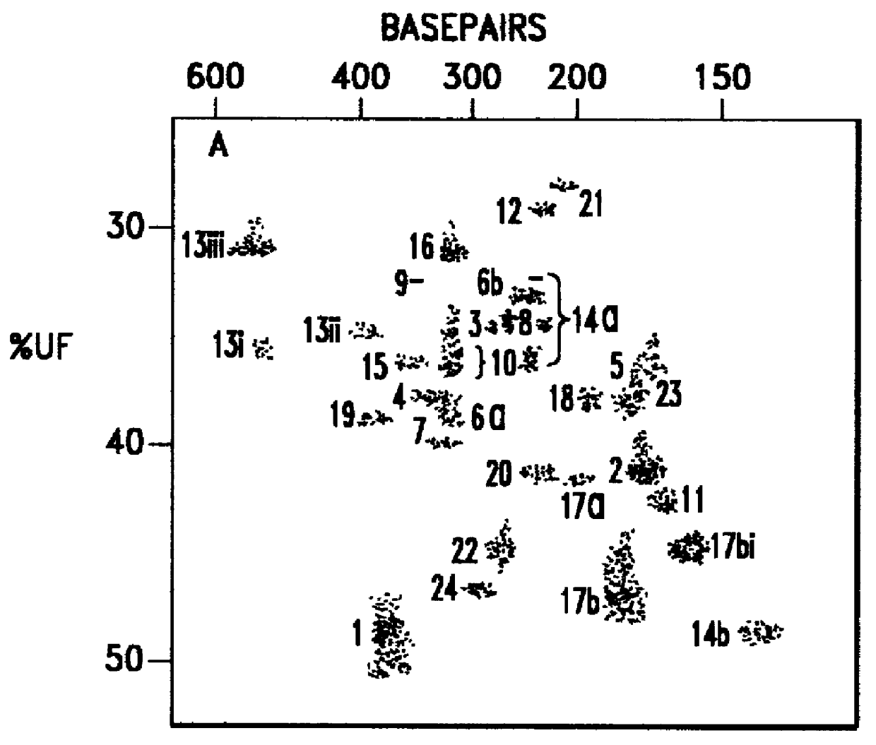 Automatic protein and/or DNA analysis system and method