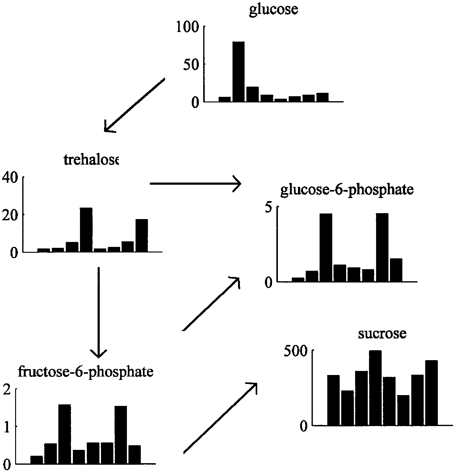 Novel algorithm for building cellular metabolism network