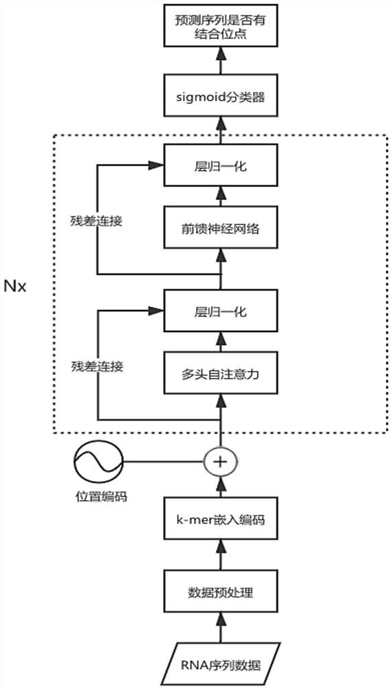 RNA-protein binding site prediction method and system based on self-attention mechanism