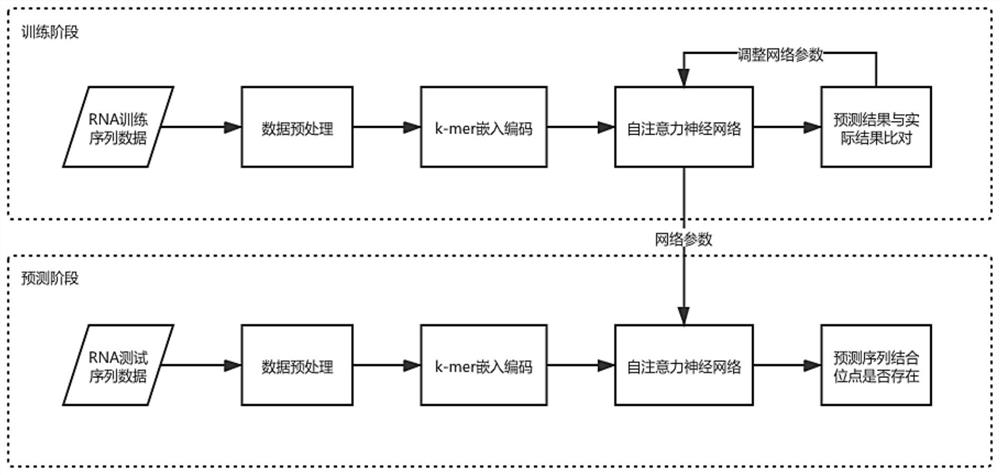 RNA-protein binding site prediction method and system based on self-attention mechanism