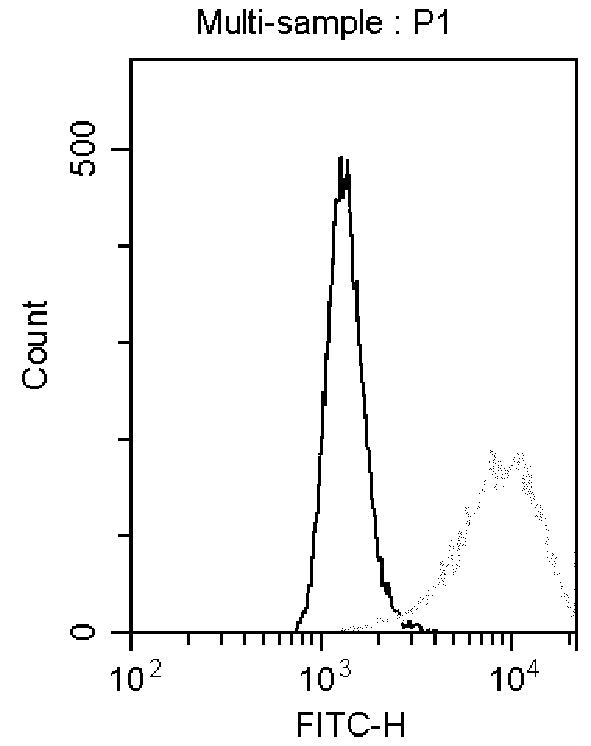 Anti-human MSLN monoclonal antibody and application thereof