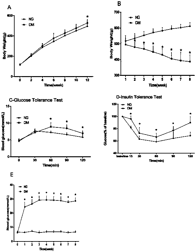 Method for establishing SD-rat type-2 diabetes model through combination of high-fat diet with induction of STZ