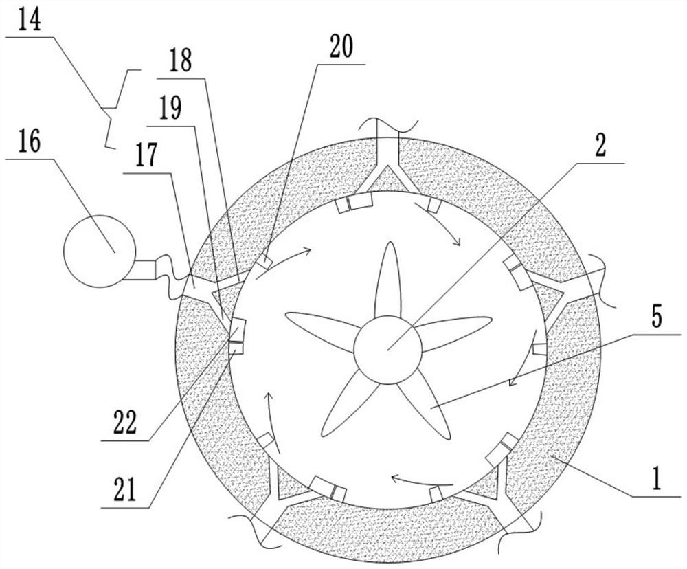 Seed Peanut Shelling Device