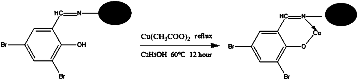 Catalyst for degrading chlorophenol pollutants and preparation method and applications thereof