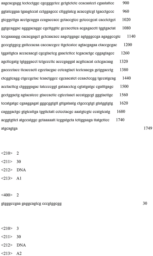 Recombinant glucose-oxidase-expressing Yarrowia lipolytica and application thereof