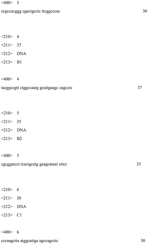 Recombinant glucose-oxidase-expressing Yarrowia lipolytica and application thereof