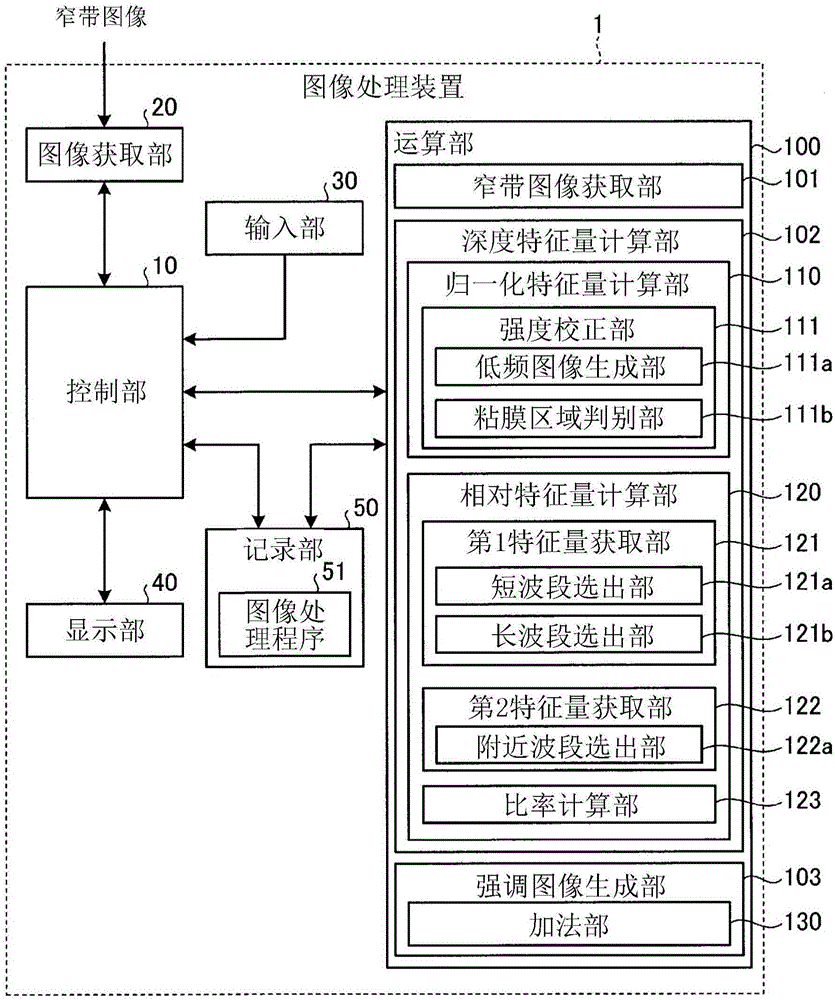 Image processing device, image processing method, and image processing program