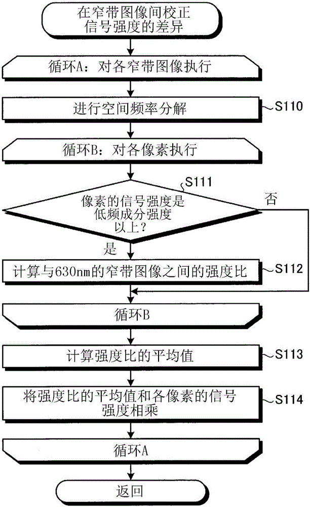 Image processing device, image processing method, and image processing program