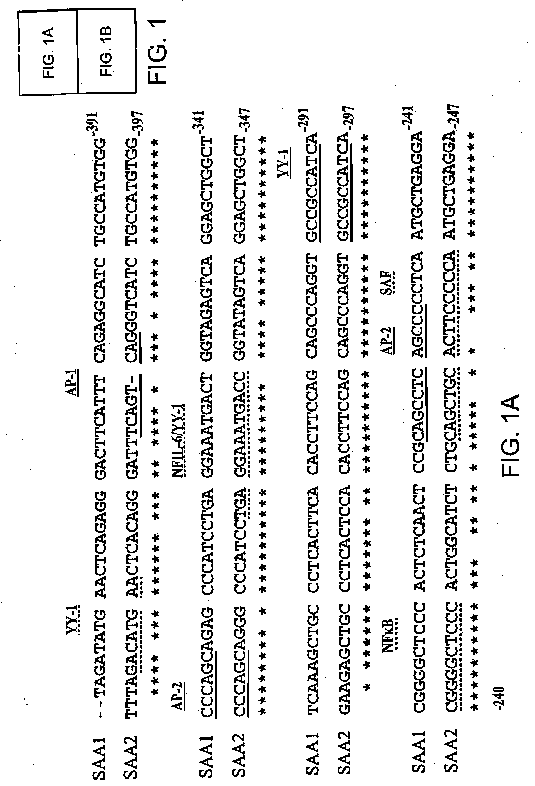 Methods for Determining Drug Responsiveness