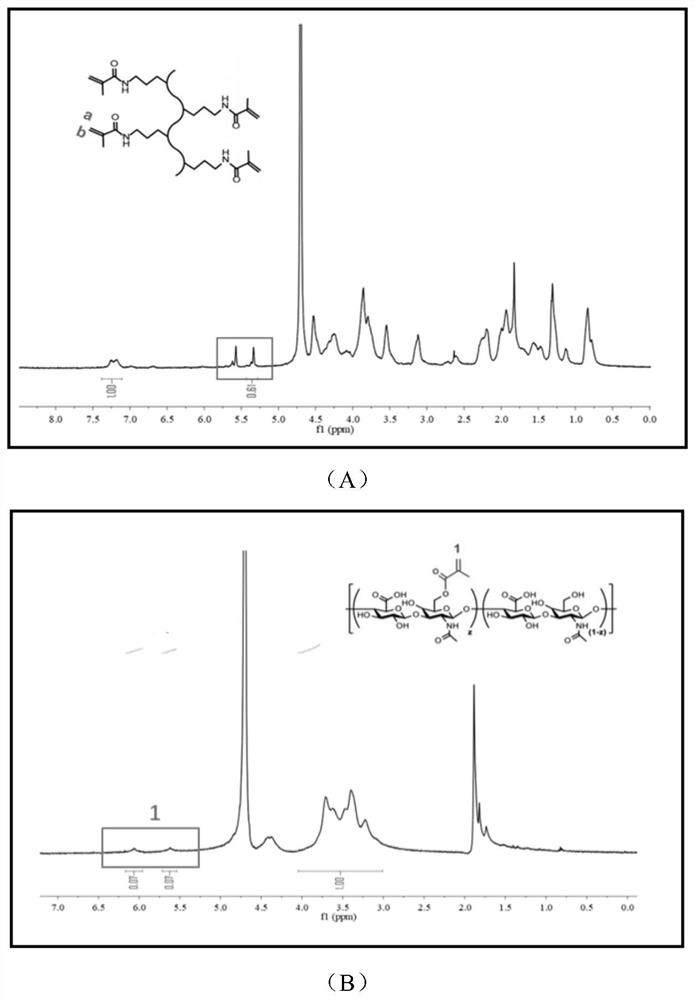 Photo-crosslinking injectable nanofiber-hydrogel compound as well as preparation method and application thereof