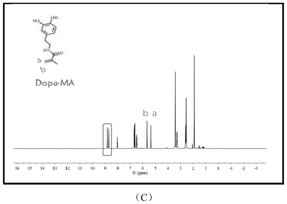 Photo-crosslinking injectable nanofiber-hydrogel compound as well as preparation method and application thereof