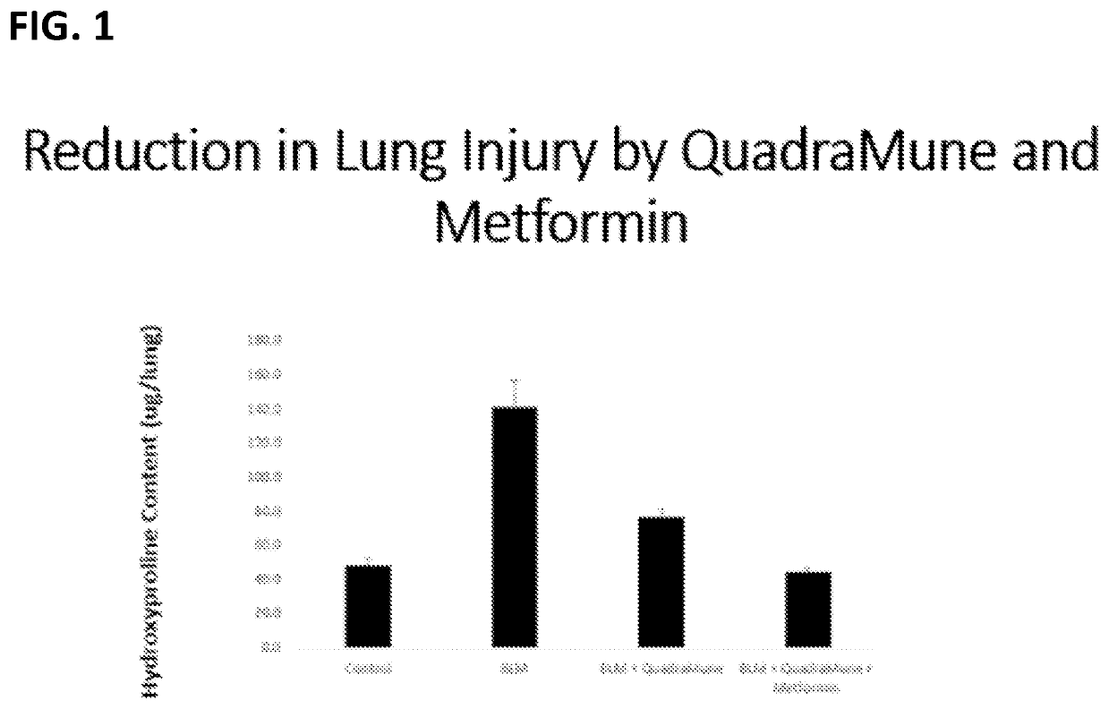 Additive and/or synergistic combinations of metformin with nutraceuticals for the prevention, inhibition and treatment of sars-cov-2 and associated covid-19