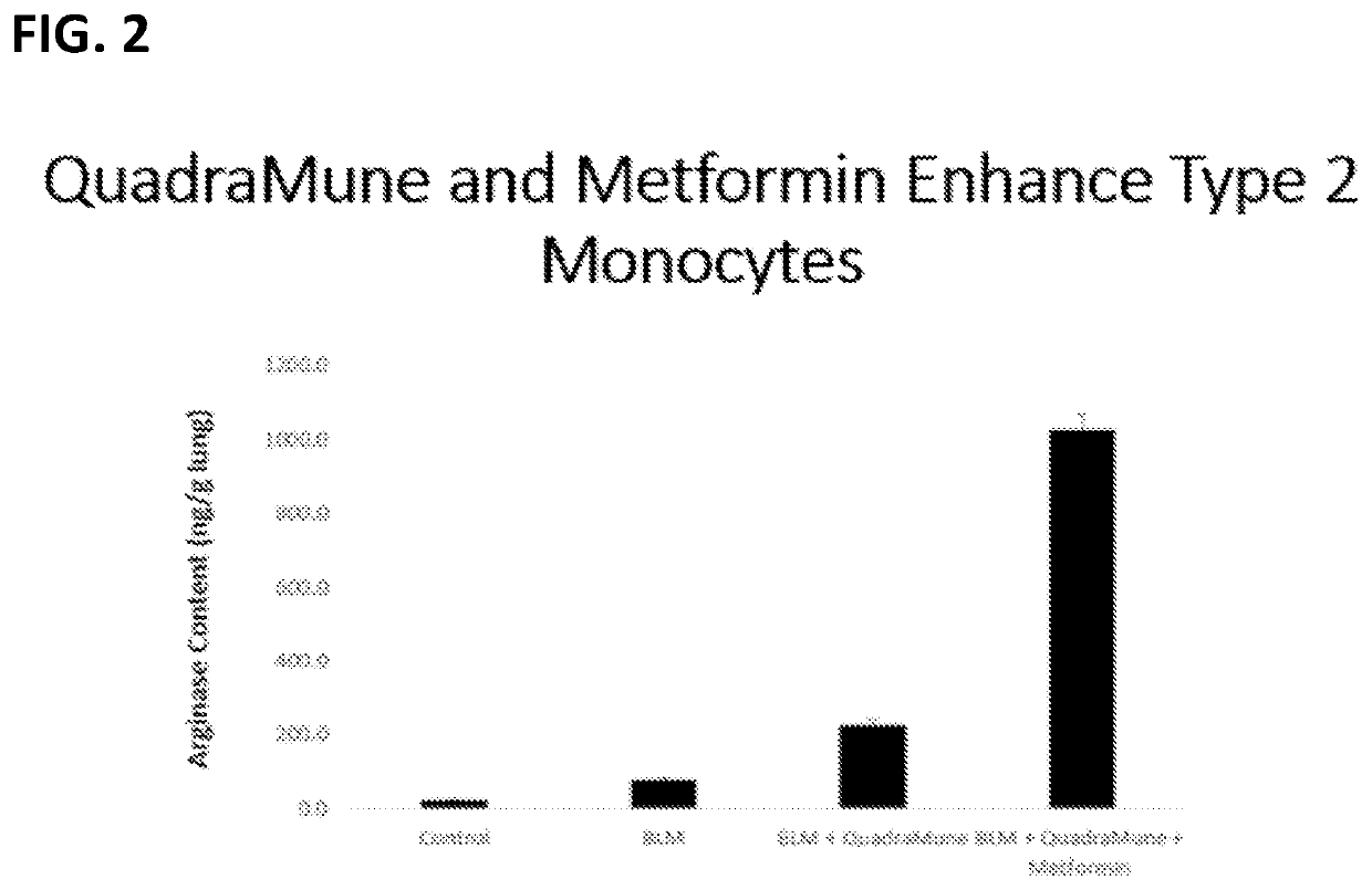 Additive and/or synergistic combinations of metformin with nutraceuticals for the prevention, inhibition and treatment of sars-cov-2 and associated covid-19