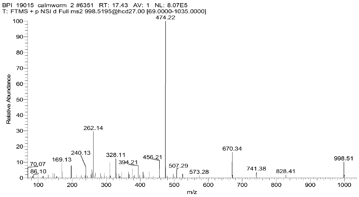 Nereis succinea antioxidant peptide and preparation method and application thereof