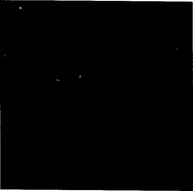 Method for obtaining transgenic chicken