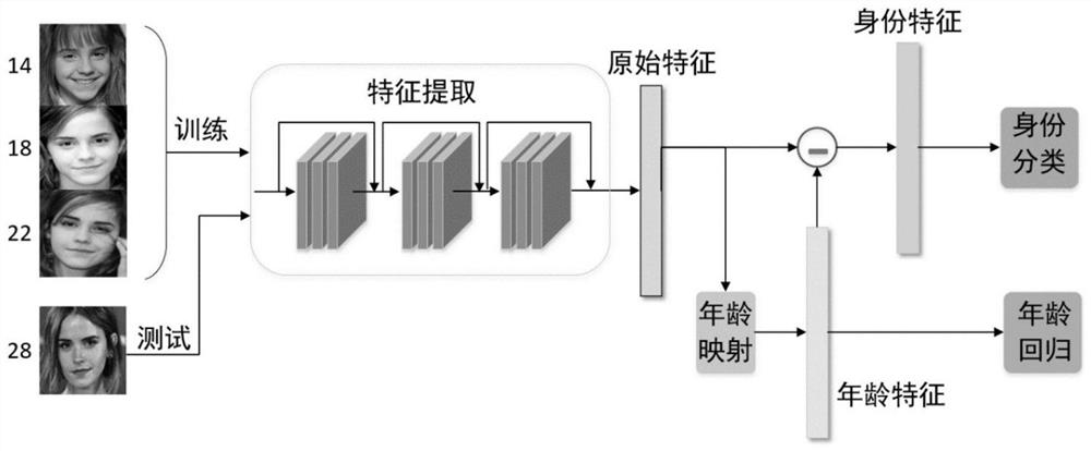 Cross-age face recognition method based on online learning