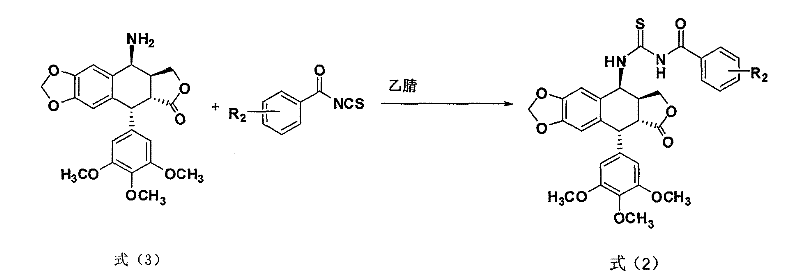 Thiourea homologues epipodophyllotoxin compound and preparation method and application thereof