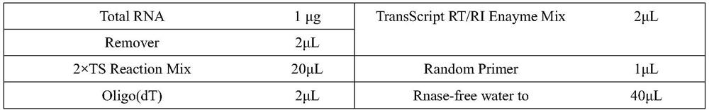 Method for increasing content of salvianolic acid B in salvia miltiorrhiza a hairy roots and laccase gene