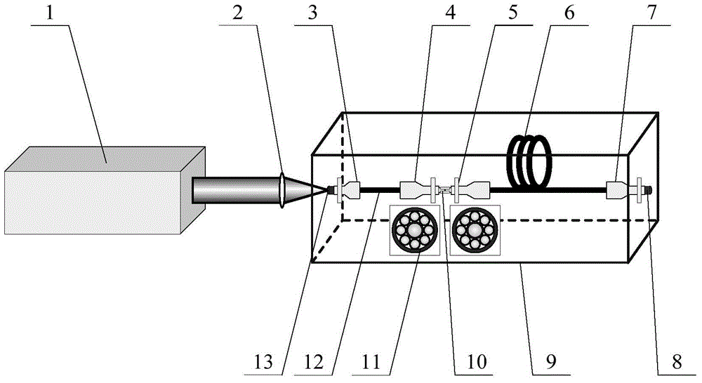 Photonic crystal fiber THz laser device