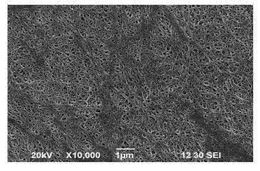 Electrochemical device and inorganic/organic composite porous membrane