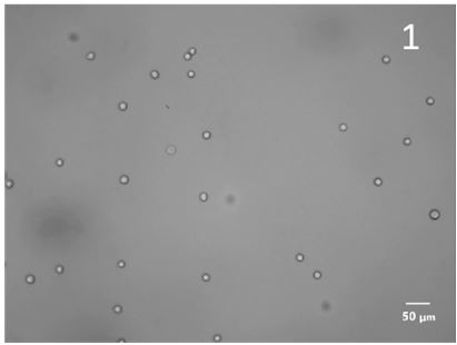 Preparation method of centrifugal hydrogel liquid drops