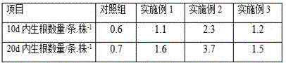 Method for raw soil planting in saline-alkali land by adopting rooting agent containing figwort root extract for planting salix matsudana