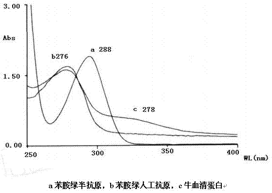 Method for preparing malachite green oxalate artificial antigen