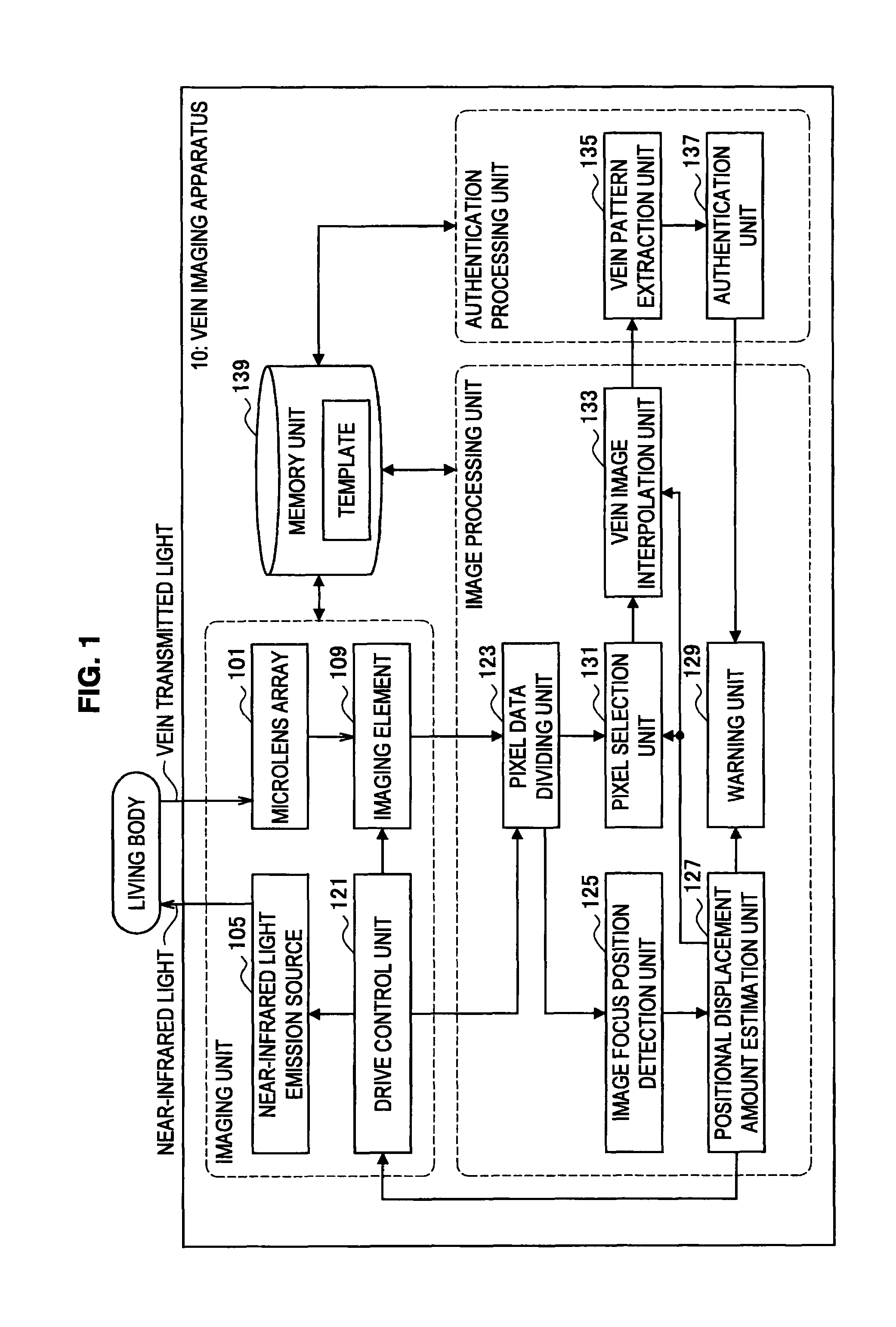 Vein imaging apparatus, positional displacement interpolation method, and program