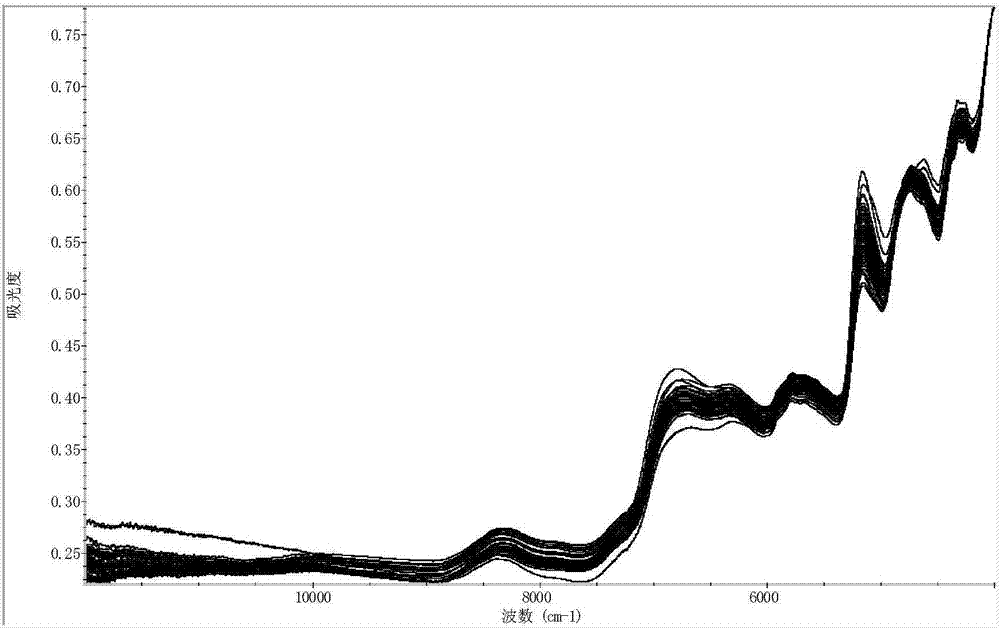 Method for quickly, easily and conveniently measuring contents of proteins in fruiting bodies of clavicipitaceae fungus stromata