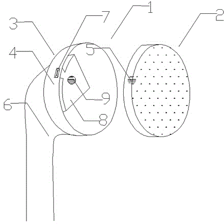 Shower nozzle provided with bath liquid