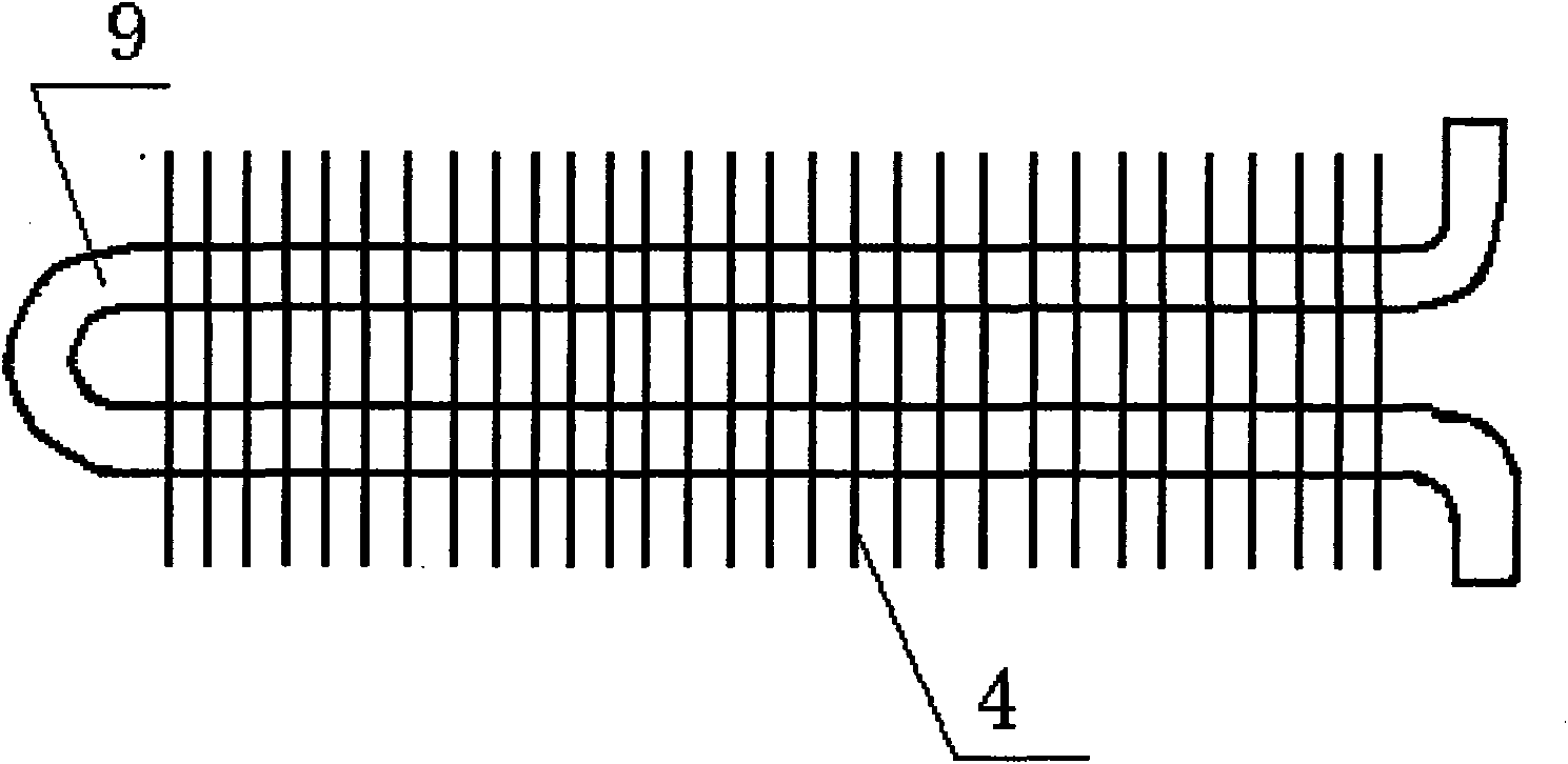 Drying method and drying equipment of wet rice paper poster