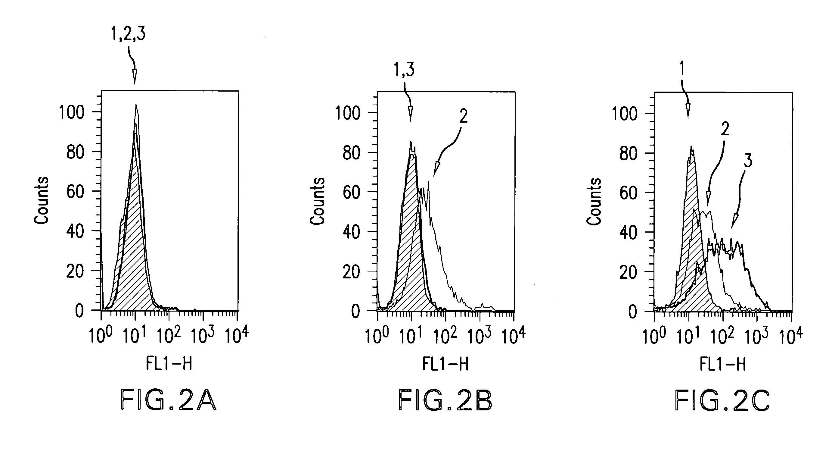 Igf-1r specific antibodies useful in the detection and diagnosis of cellular proliferative disorders