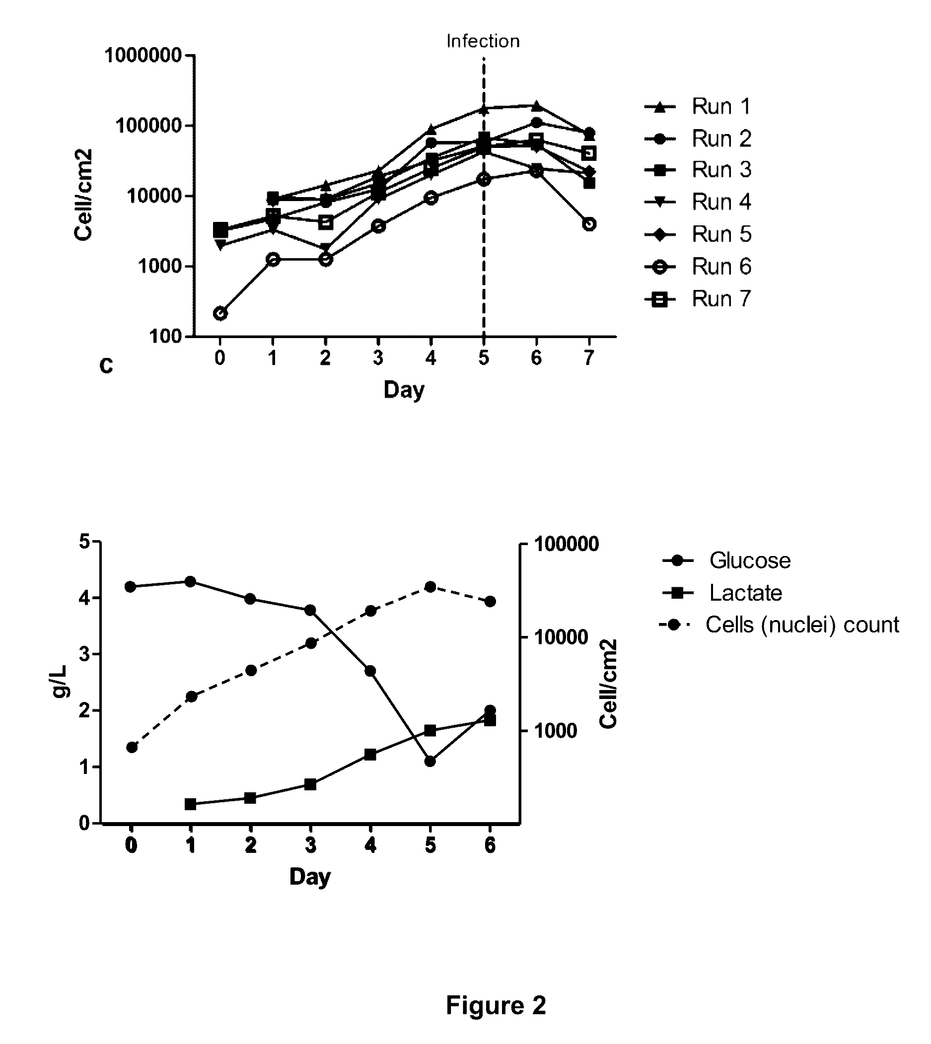 Seeding An Adherent Cell Bioreactor With Non-Adherent Cells Increases Seeding Density Limit And Reduces Required Expansion Time