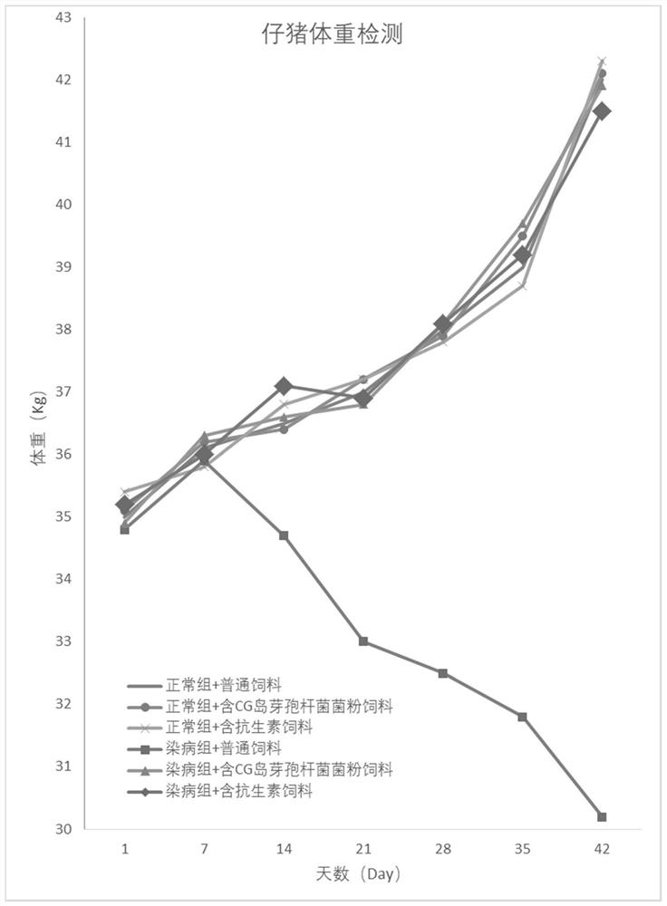 Cytosine-guanine (CG) island oligonucleotide with immunostimulation capability for piglets and application of CG island oligonucleotide to feed additive