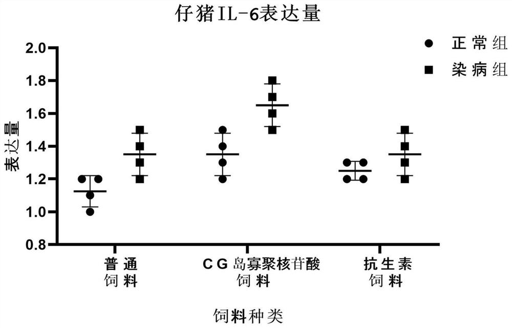 Cytosine-guanine (CG) island oligonucleotide with immunostimulation capability for piglets and application of CG island oligonucleotide to feed additive