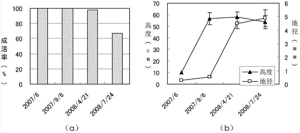 Method for constructing shrub and grass plant communities on rocky slope and application thereof