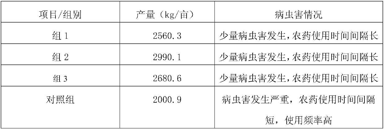 Disease prevention planting method of strawberries