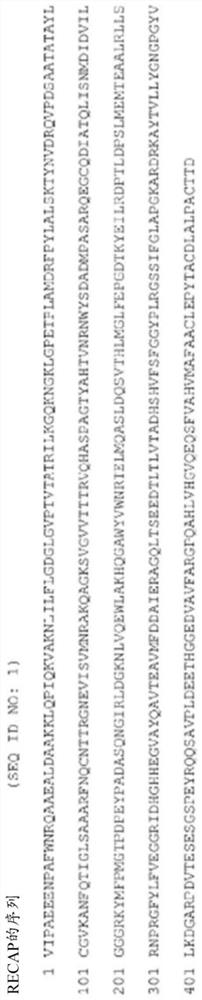 Recombinant alkaline phosphatase for use in treating sepsis-associated acute kidney injury