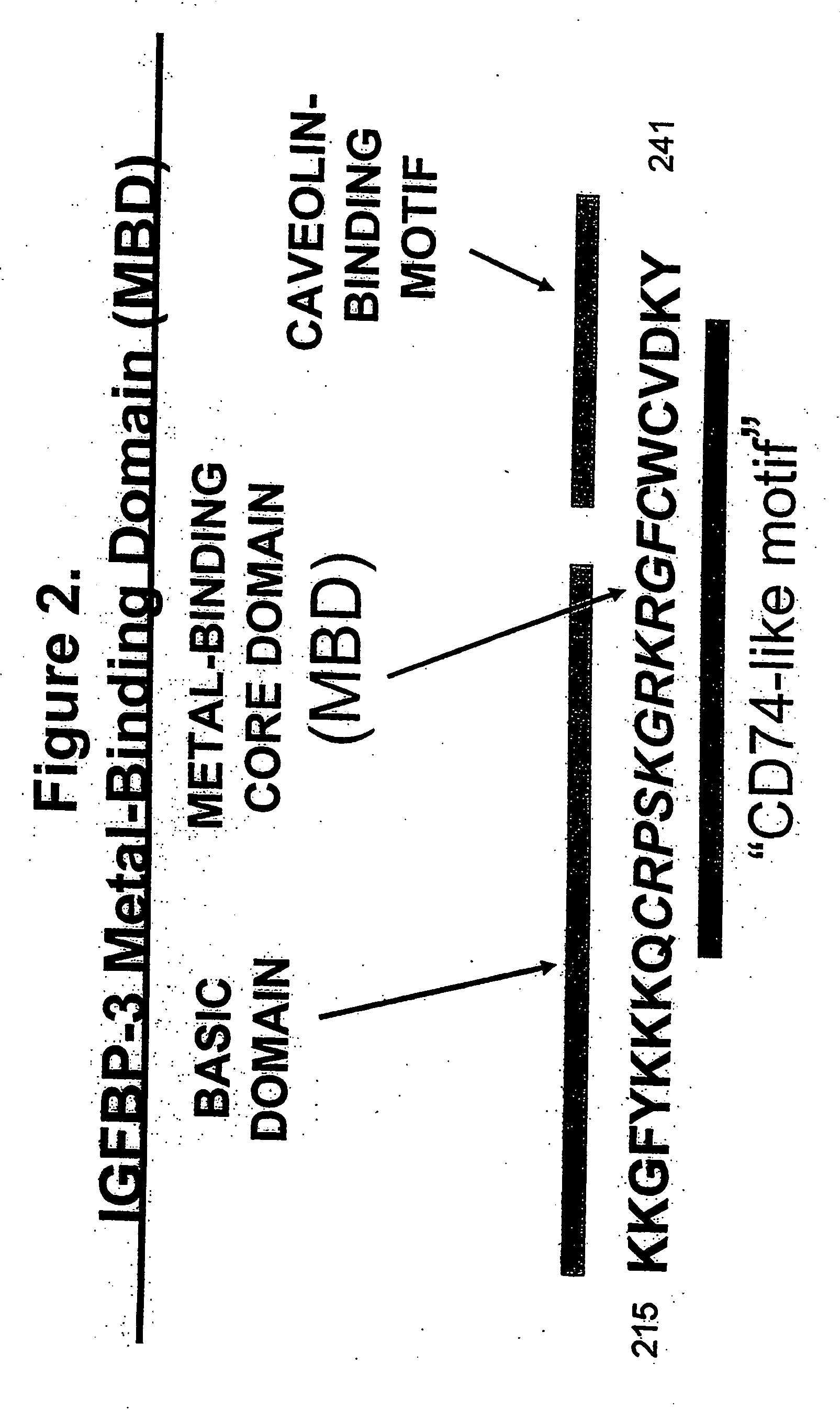 Methods for delivering MBD peptide-linked agent into cells under conditions of cellular stress