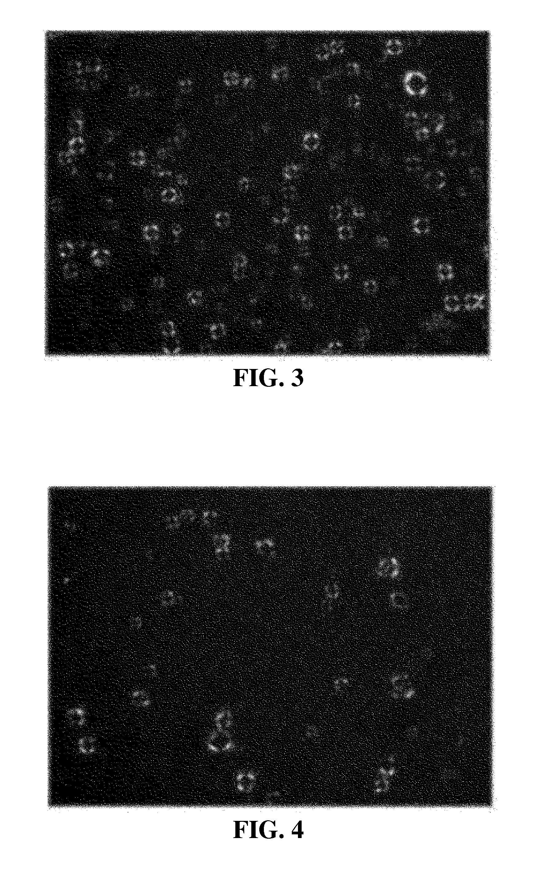 Composition externally used for subacid skin and cosmetic material including same