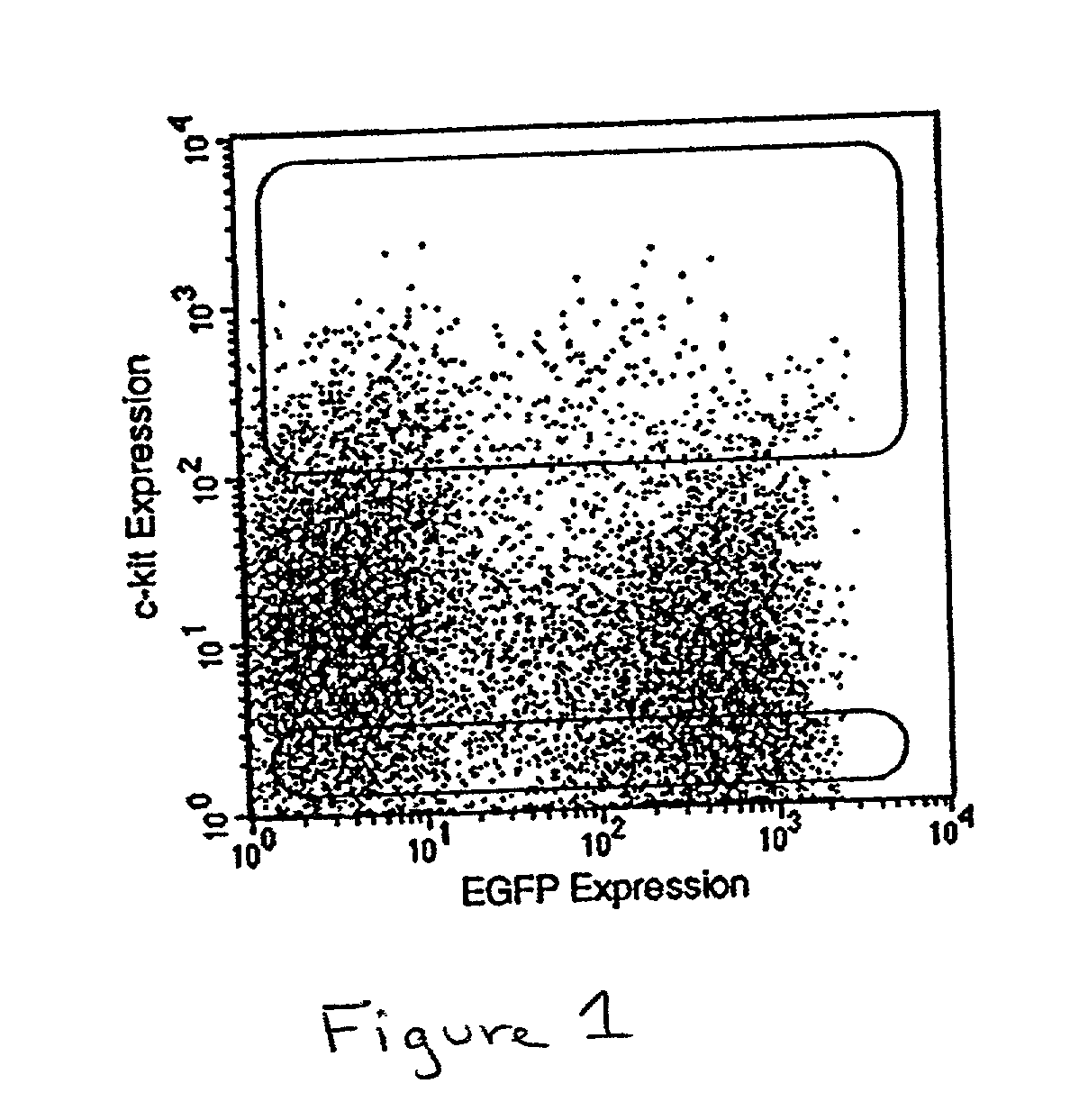 Methods and compositions for the repair and/or regeneration of damaged myocardium