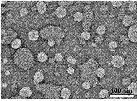 Synthesis and micellization application of amphiphilic beta-cyclodextrin star polymer