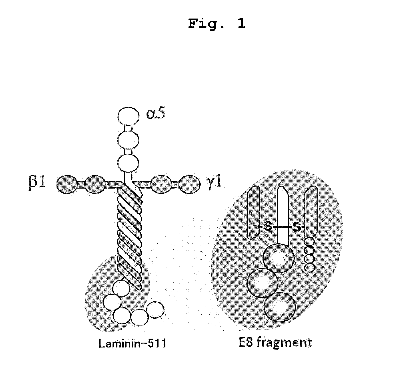 Method of producing retinal pigment epithelial cell