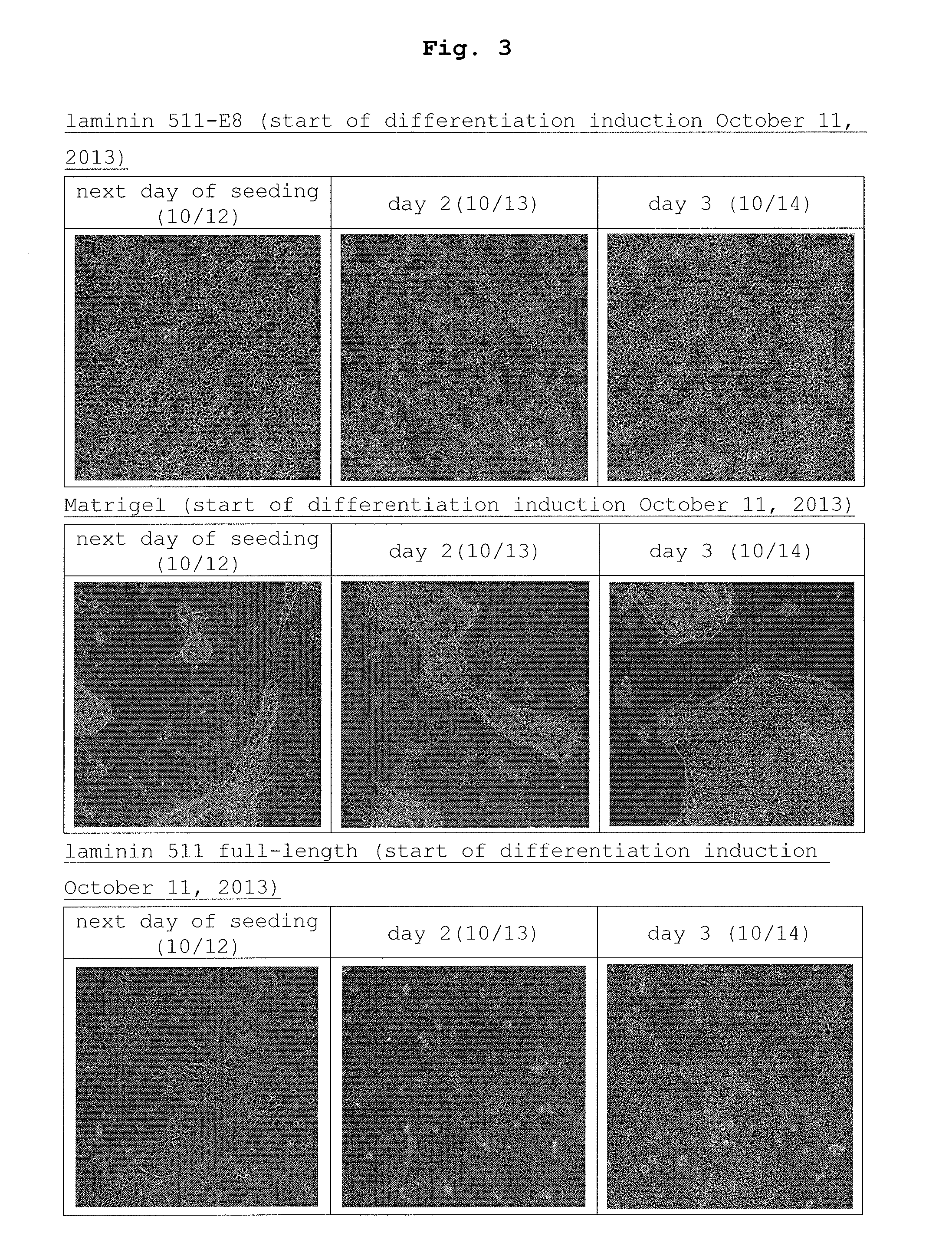 Method of producing retinal pigment epithelial cell