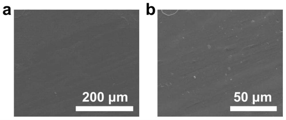 Asymmetric semi-solid electrolyte, preparation method and metal lithium secondary battery