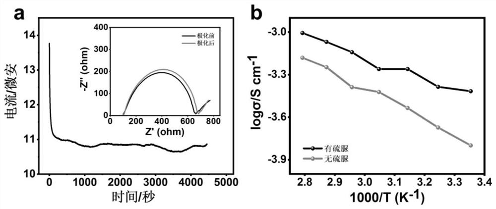 Asymmetric semi-solid electrolyte, preparation method and metal lithium secondary battery