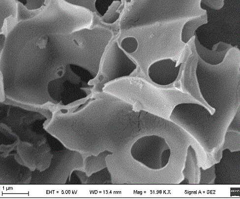 Method for preparing biological activated carbon from waste maidenhair tree leaves and folium ginkgo herb residue